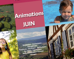 06 05 animations ccpv juin15