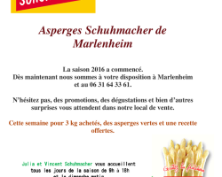 16 04 15 asperges d alsace schuhmacher marlenheim