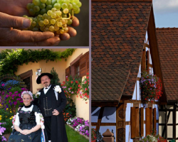 16 08 01 calendrier aout 2016 porte du vignoble