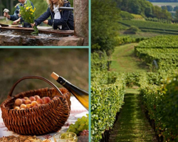 2016 09 15 calendrier des manifestations de la porte du vignoble