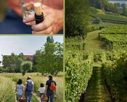 2017 09 01 calendrier animations porte du vignoble septembre 2017