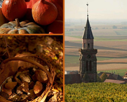 2017 10 03 calendrier des animations de la porte du vignoble