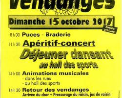 2017 10 03 fete des vendanges a marlenheim
