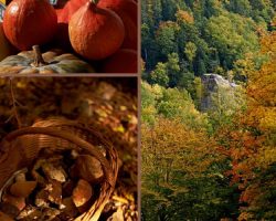 2018 10 01 calendrier des animations porte du vignoble octobre 2018