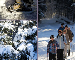 2019 01 29 calendrier des animations de la porte du vignoble fevrier 2019