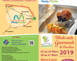2019 02 22 week end gourmand de bacchus 2019