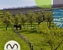 2019 03 01 calendrier des animations mossig vignoble mars 2019