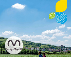 2019 07 02 vignoble calendrier des animations juillet 2019