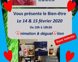 2020 02 07 sylvie graf creations animation mustang cie a marlenheim