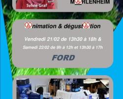 2020 02 21 sylvie graf creations au garage ford a marlenheim