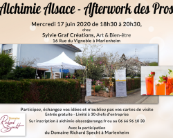 2020 06 17 afterwork des pros juin 2020 sylvie graf creations marlenheim