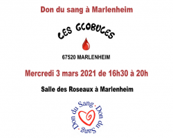 2021 03 03 don du sang a marlenheim