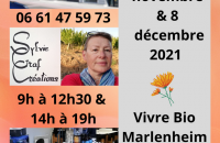 2021 11 17 sylvie graf creations a vivre bio a marlenheim