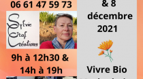 2021 11 17 sylvie graf creations a vivre bio a marlenheim