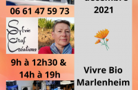 2021 12 08 sylvie graf creations a vivre bio a marlenheim