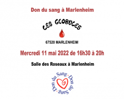 2022 05 11 don du sang a marlenheim