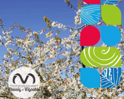 2022 05 31 calendrier des animations vignoble mai 2022