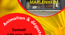 2023 02 04 sylvie graf animation et degustations vivre bio marlenheim