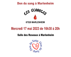 2023 05 17 les globules don du sang a marlenheim