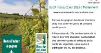 2023 06 02 visuel jeu de bacchus 70e anniversaire route des vins