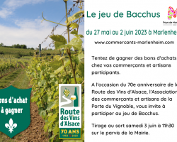 2023 06 02 visuel jeu de bacchus 70e anniversaire route des vins