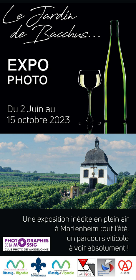 2023 10 15 exposition photo le jardin de baccus a marlenheim