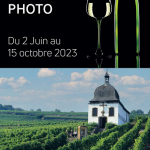 2023 10 15 exposition photo le jardin de baccus a marlenheim