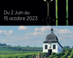 2023 10 15 exposition photo le jardin de baccus a marlenheim
