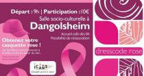 2023 10 15 rando rose 2023 dangolsheim