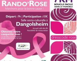 2023 10 15 rando rose 2023 dangolsheim