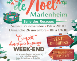 2023 11 26 marche de noel 2023 marlenheim