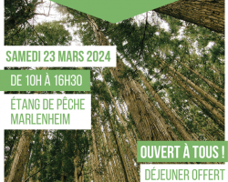 2024 03 23 plantation foret urbaine marlenheim