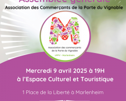 2025 04 09 uppv assemblee generale 2025 a marlenheim