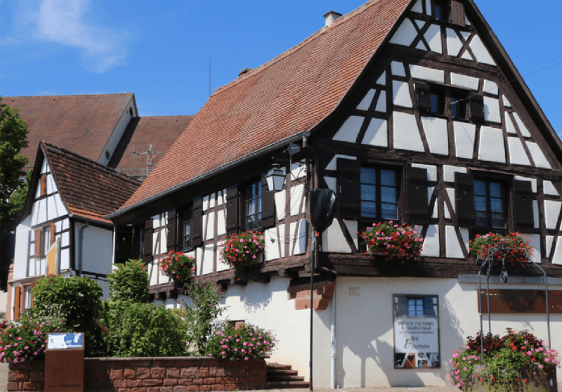 2025 article maisons fleuries