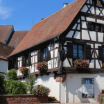 2025 article maisons fleuries