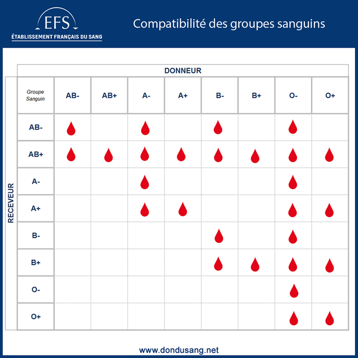 Efs