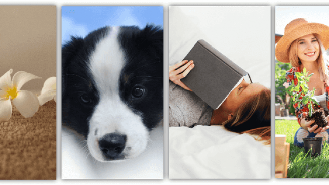 Entraide et conseils