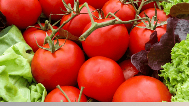 Annuaire jours de marché