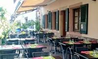 Terrasse arbre vert 1