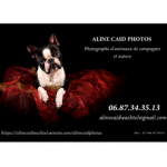 Aline-Caid-Photos