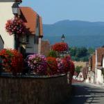 Scharrach-info